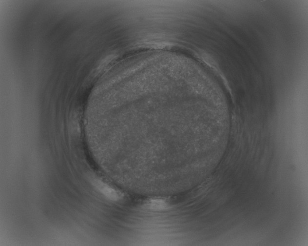 X0000080790114200701122158