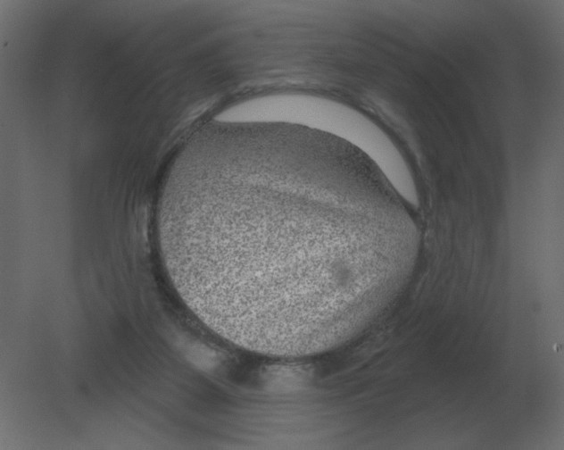 X0000080790115200701122158