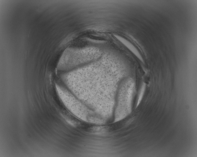 X0000080790117200701122158