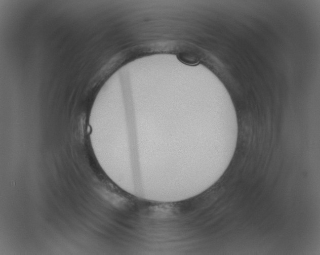 X0000080790118200701122158