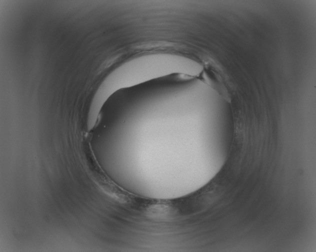 X0000080790119200701122158