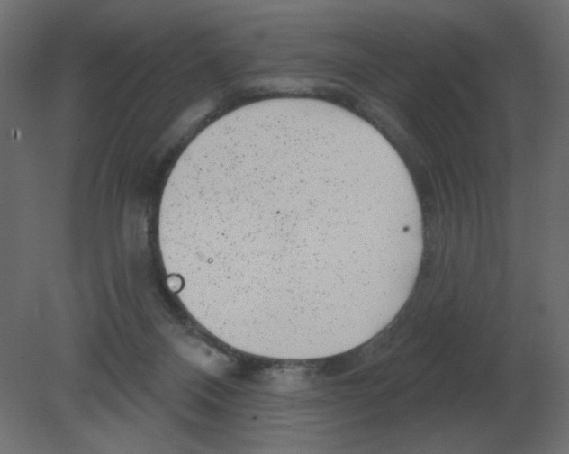 X0000080790120200701122158