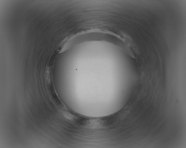 X0000080790121200701122158