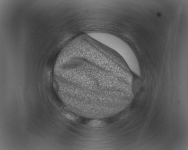 X0000080790123200701122158