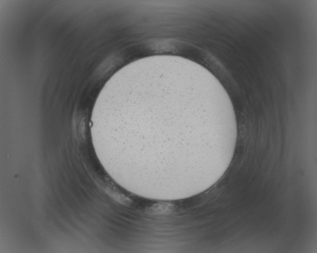 X0000080790124200701122158