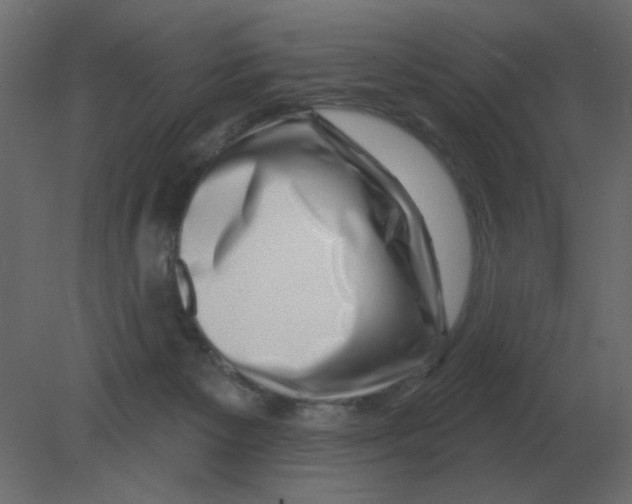 X0000080790125200701122158