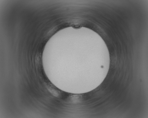 X0000080790126200701122158