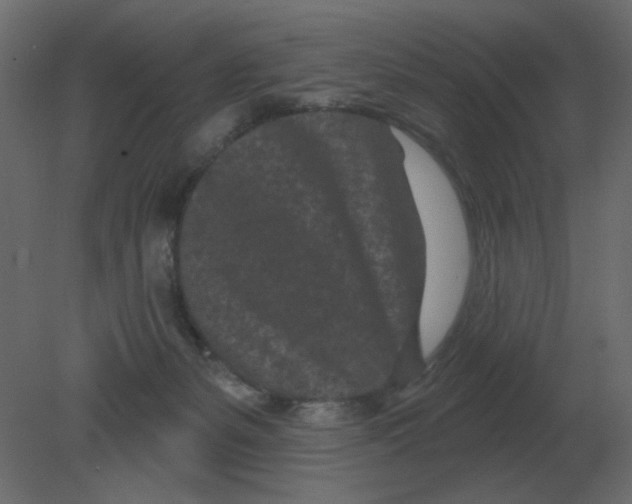 X0000080790127200701122158