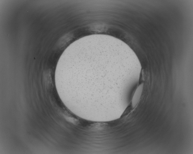 X0000080790128200701122158