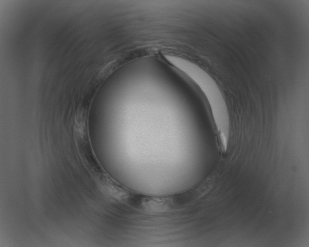 X0000080790129200701122158