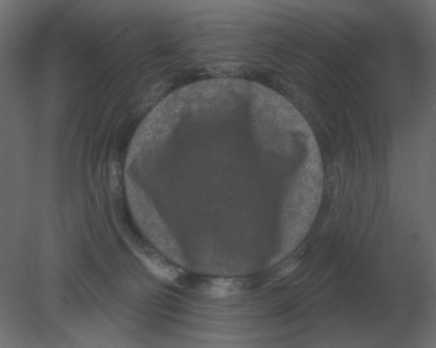 X0000080790130200701122158