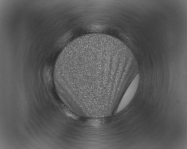 X0000080790131200701122158