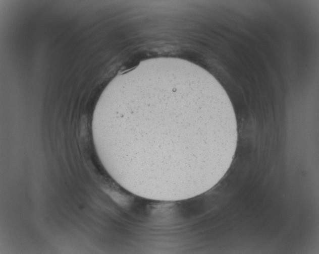 X0000080790132200701122158