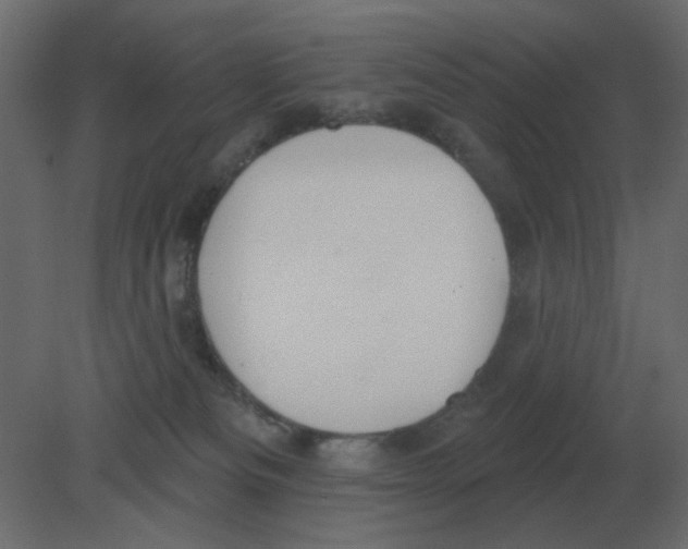 X0000080790133200701122158