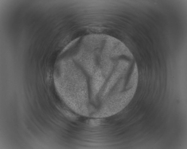 X0000080790134200701122158