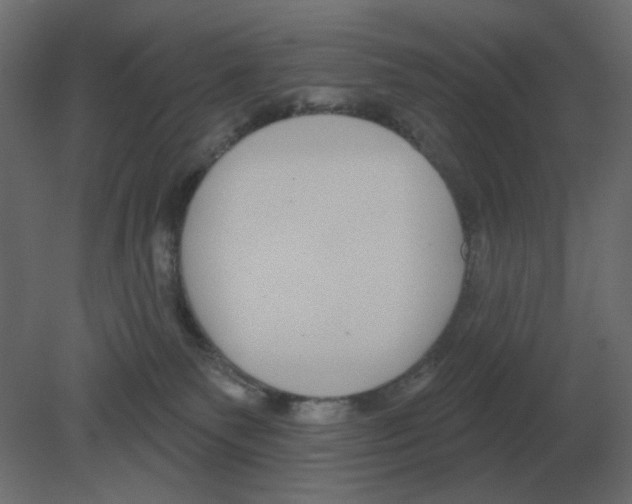 X0000080790135200701122158