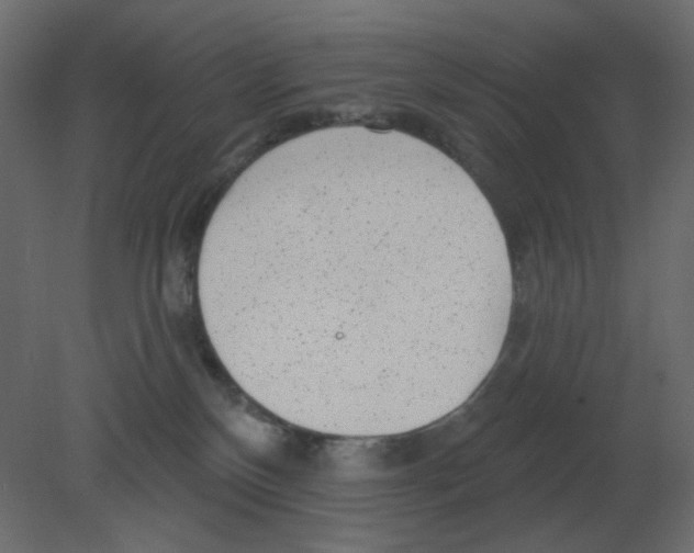 X0000080790136200701122157