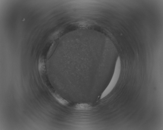 X0000080790137200701122157