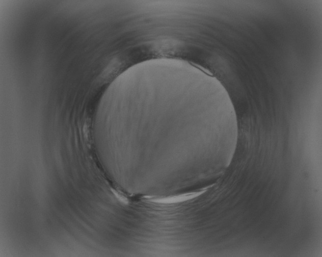 X0000080790139200701122157