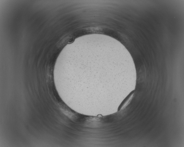 X0000080790140200701122157