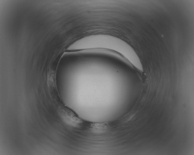 X0000080790141200701122157