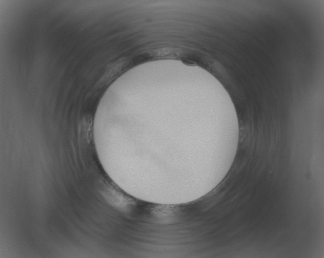 X0000080790142200701122157