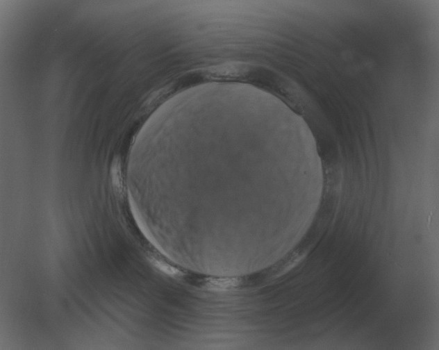 X0000080790143200701122157