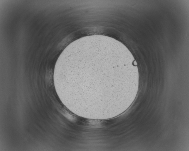 X0000080790144200701122157