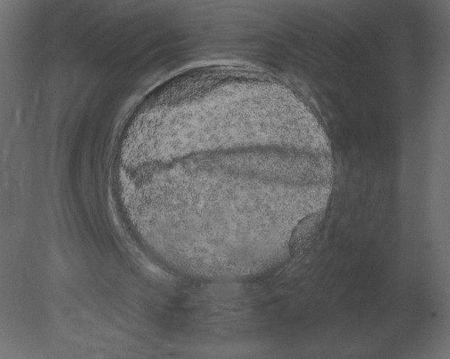 X0000080790145200701122157