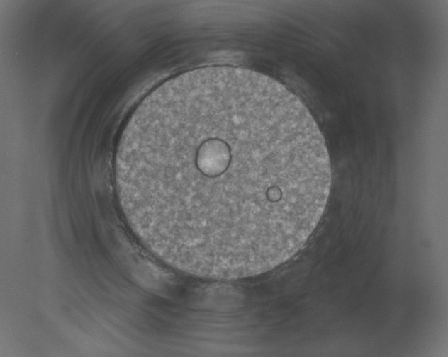 X0000080790146200701122157