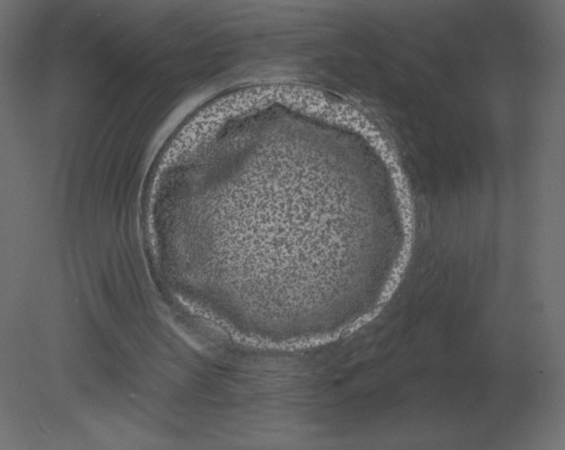 X0000080790147200701122157