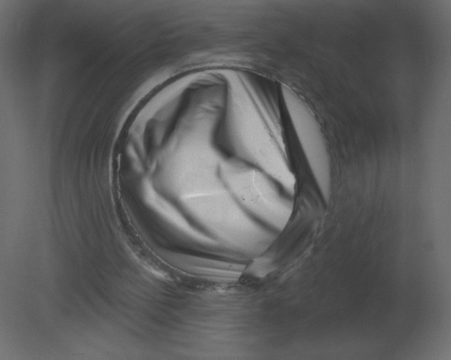 X0000080790148200701122157