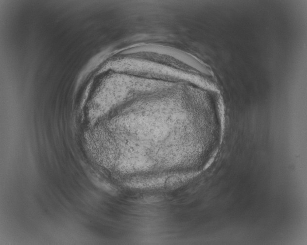 X0000080790149200701122157