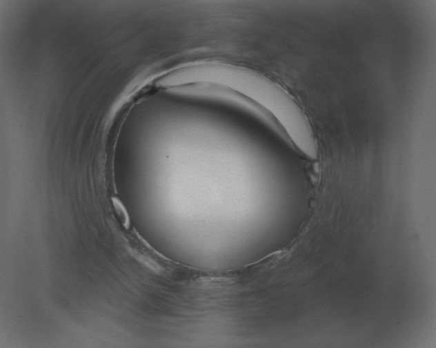 X0000080790150200701122157