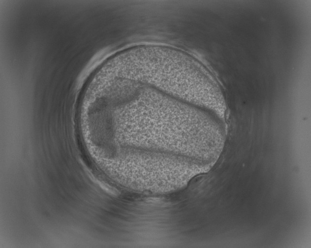 X0000080790151200701122157