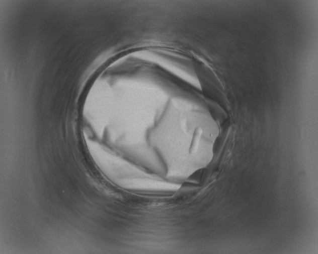 X0000080790152200701122157