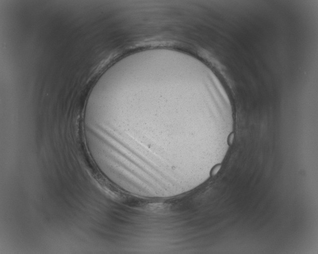 X0000080790153200701122157