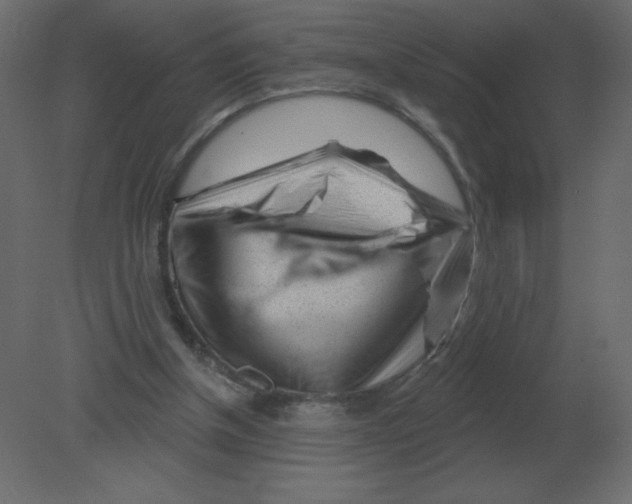 X0000080790154200701122157