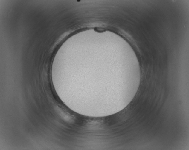 X0000080790155200701122157