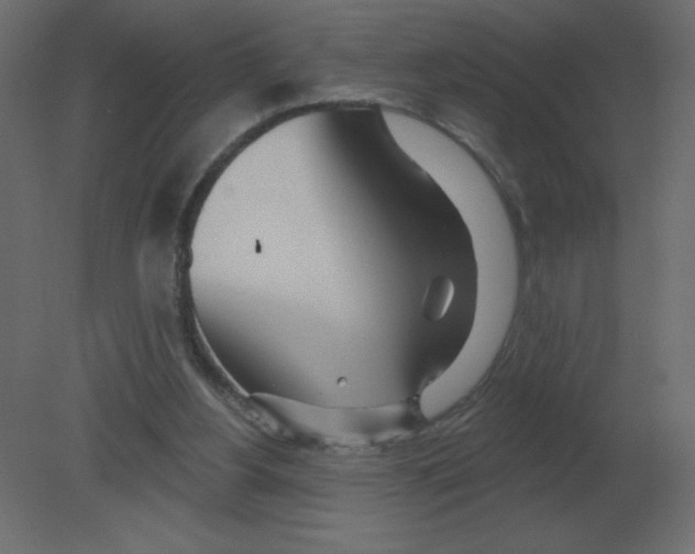 X0000080790156200701122157