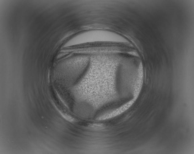 X0000080790157200701122157