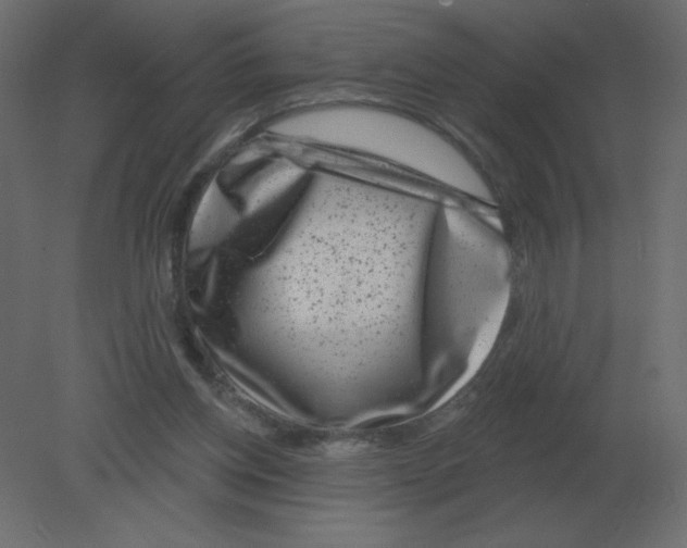 X0000080790158200701122157