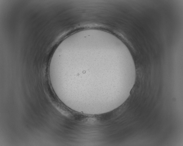 X0000080790159200701122157