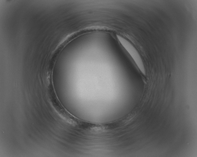 X0000080790160200701122157