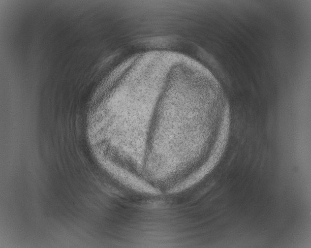 X0000080790161200701122157