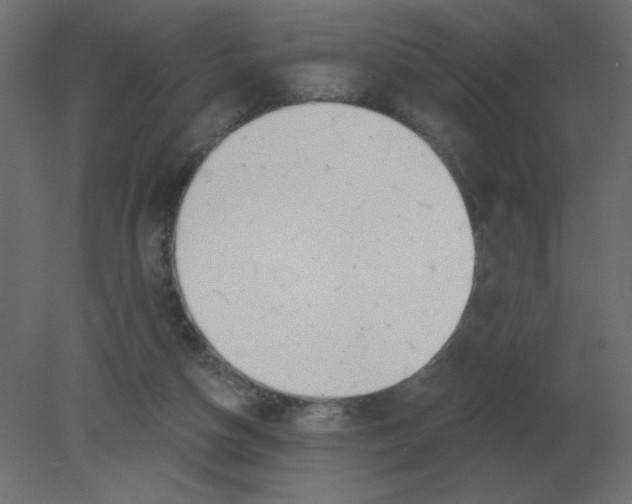 X0000080790162200701122157