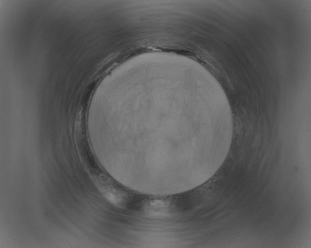 X0000080790163200701122157