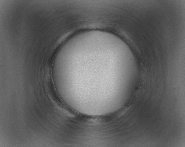 X0000080790164200701122157