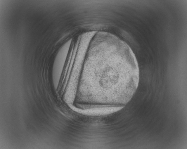 X0000080790165200701122157