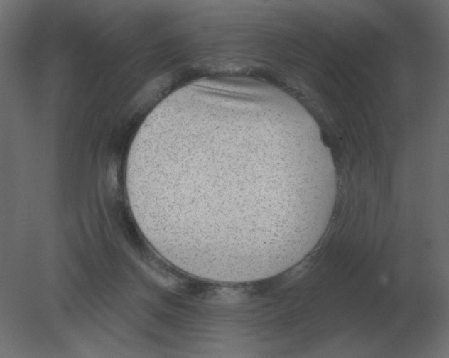 X0000080790166200701122157